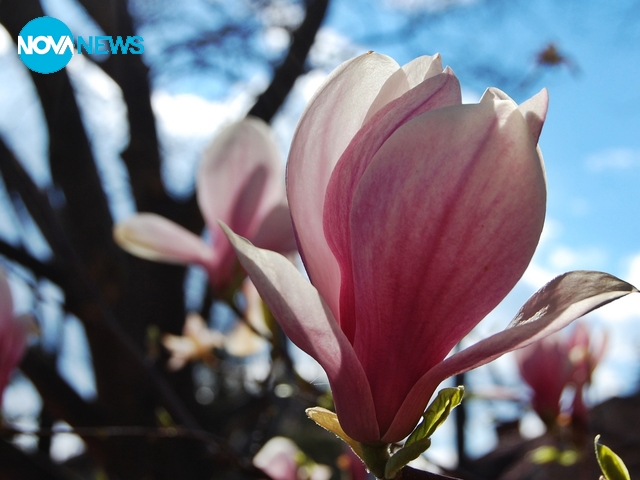 Прогноза за времето