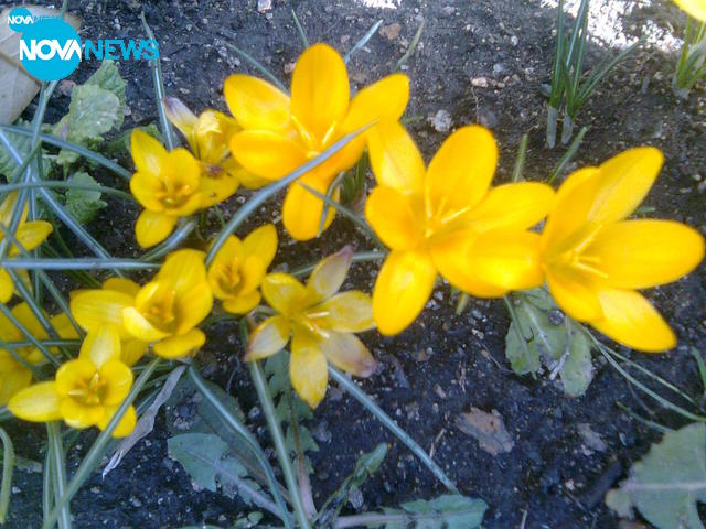 Пролетно настроение