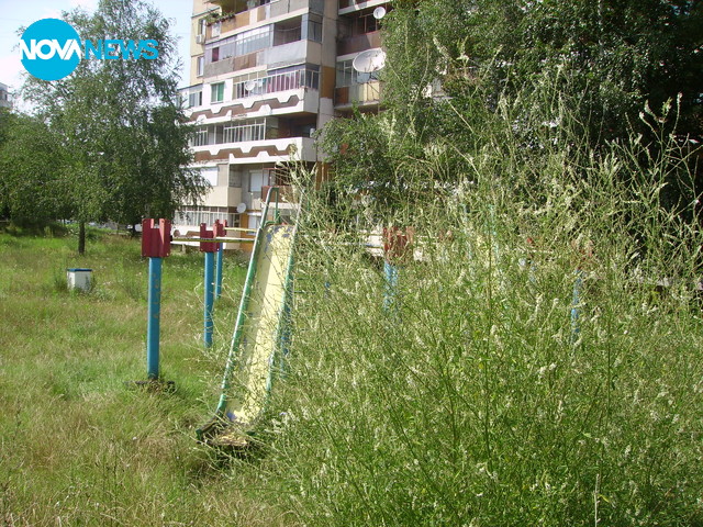Висока трева и змиии на детска площадка