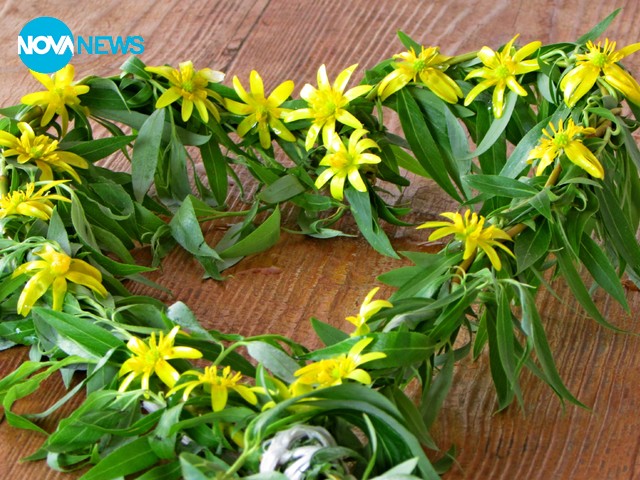 И върбата цъфна :)