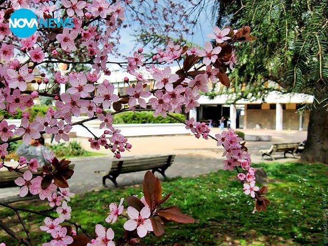 Красивата пролет в Кюстендил