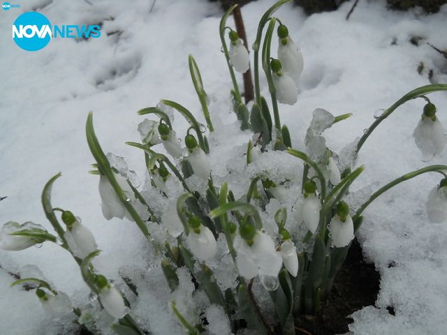 Пролетно пробуждане