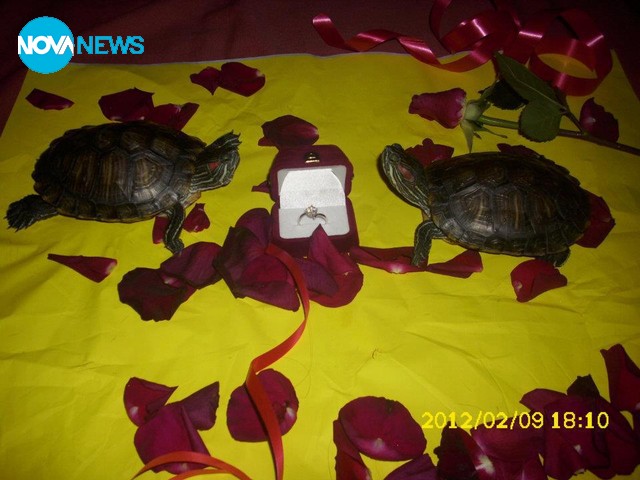 Свети Валентин