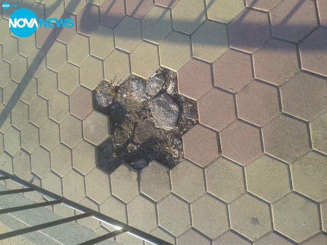 Некачественото строителство в София