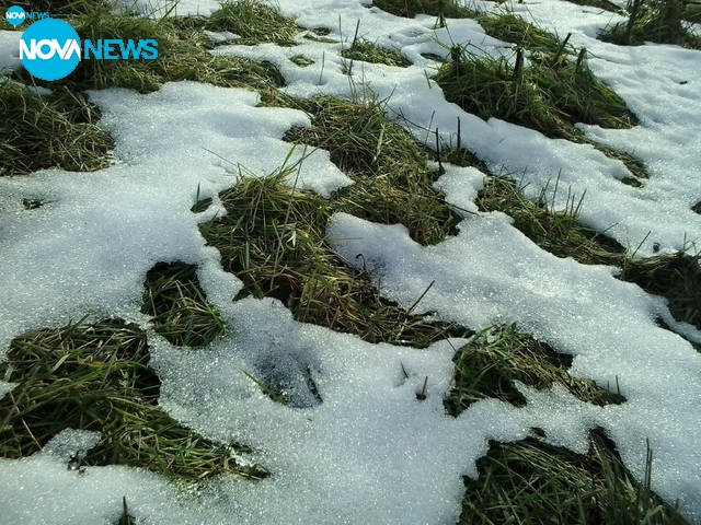 За добър старт на седмицата