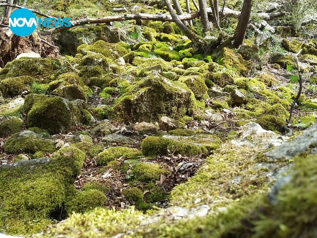 Април във Бачково