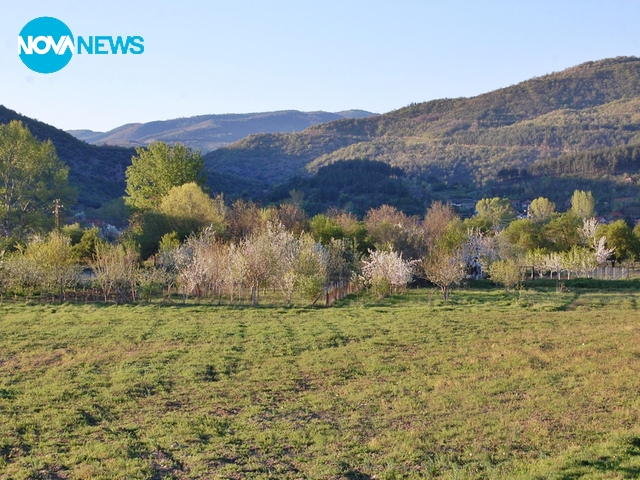 Поздрави от село Раждавица
