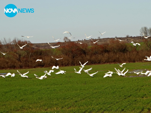 Aктуални пролетни снимки за "Прогноза за времето"