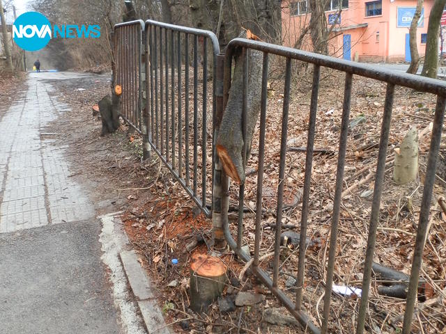 Разрушена пешеходна пътека