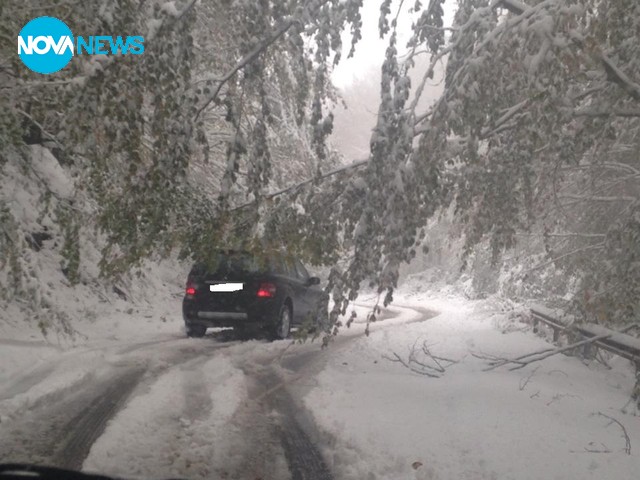 Пътят през Мухово