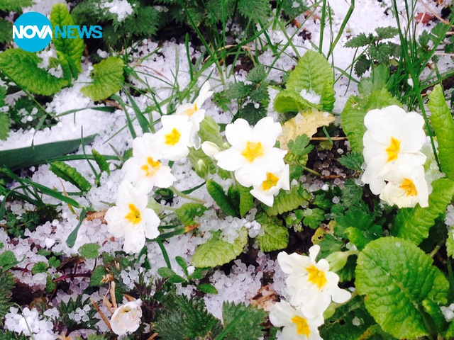 Градушка над село Челопеч