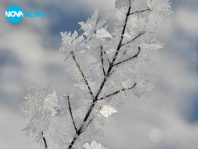 Клонче зима