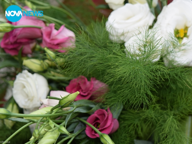 Прогноза за времето - 2