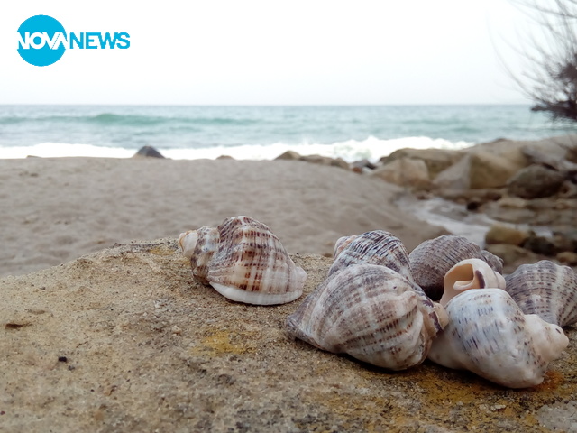 Снимки от морето