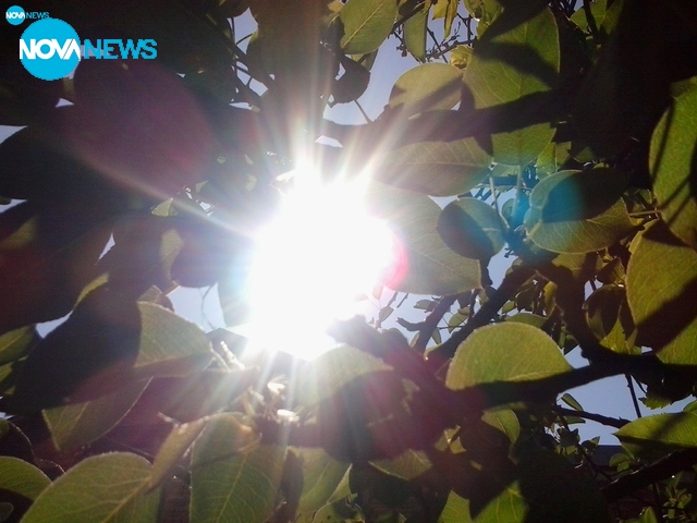 Сутрешно слънце!