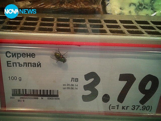 Сирена с екстри