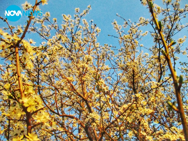 Пролетен залез