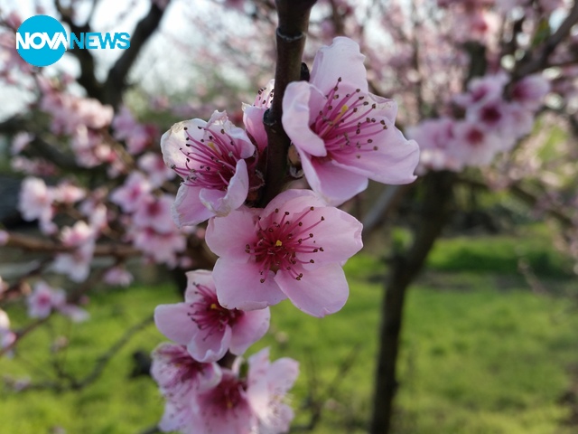 Пролетта идва!