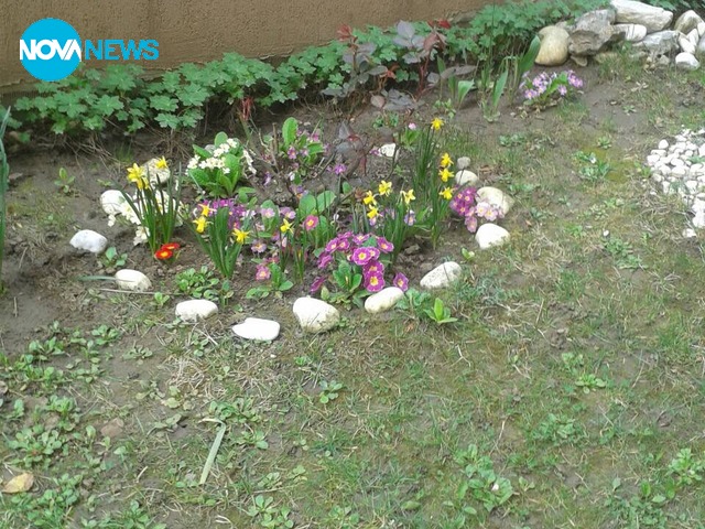 Цветна пролет пред блока