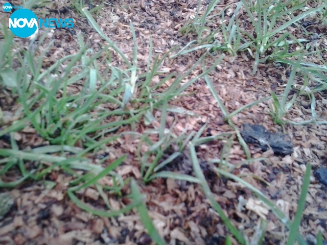 Пролетно-зимни мотиви