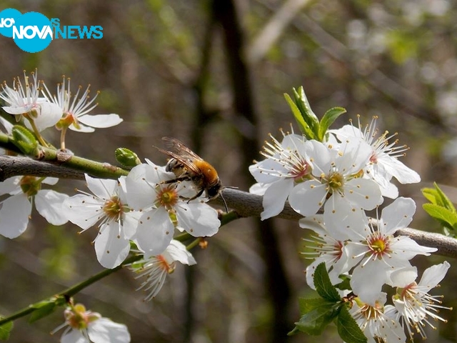 С ухание на пролет