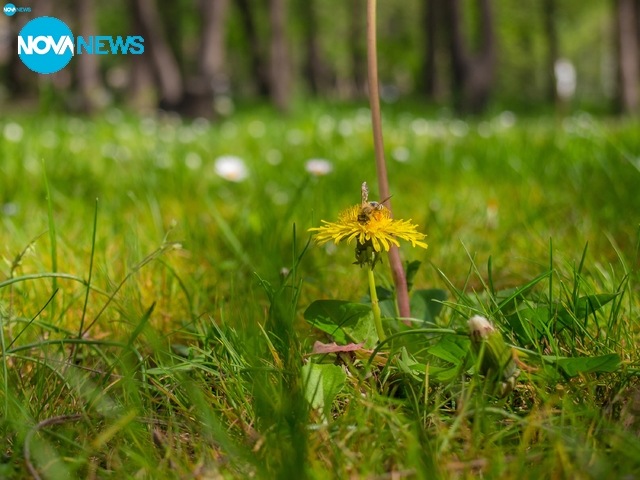 Пролетно настроение