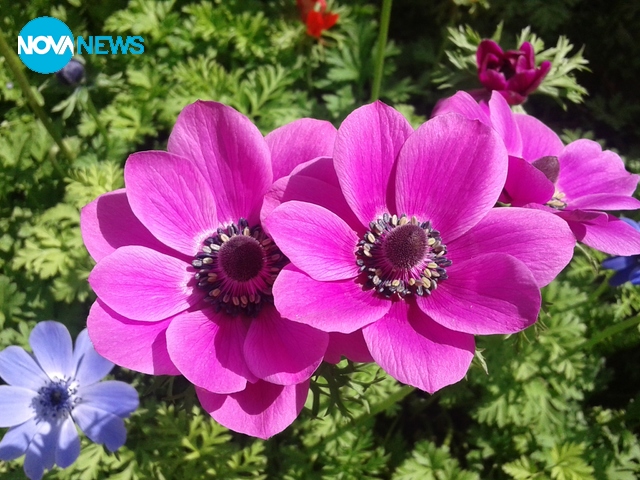 Красотата на българската природа