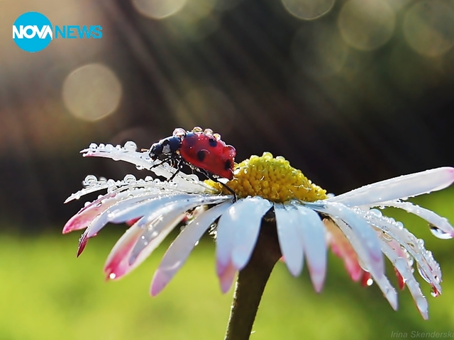 Прогноза за времето