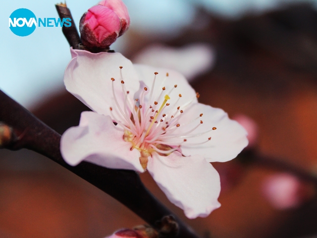 С ухание на пролет