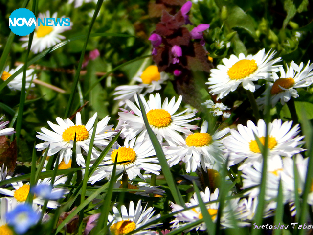 Когато природата рисува :)