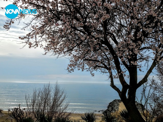 Пролетта и морето...