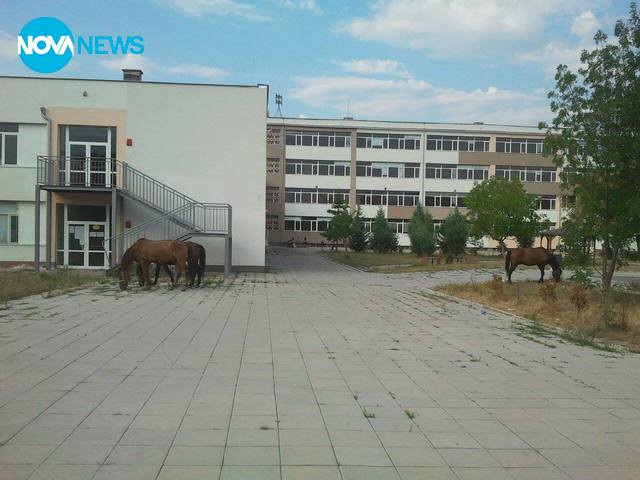 Зоопарк в кв. "Модерно предградие", София