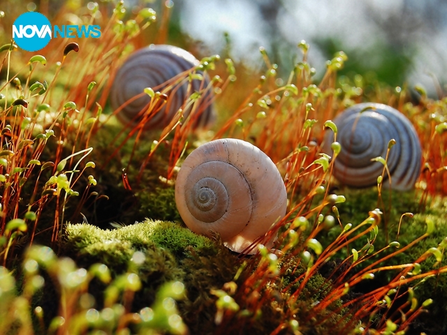 В света на малките неща