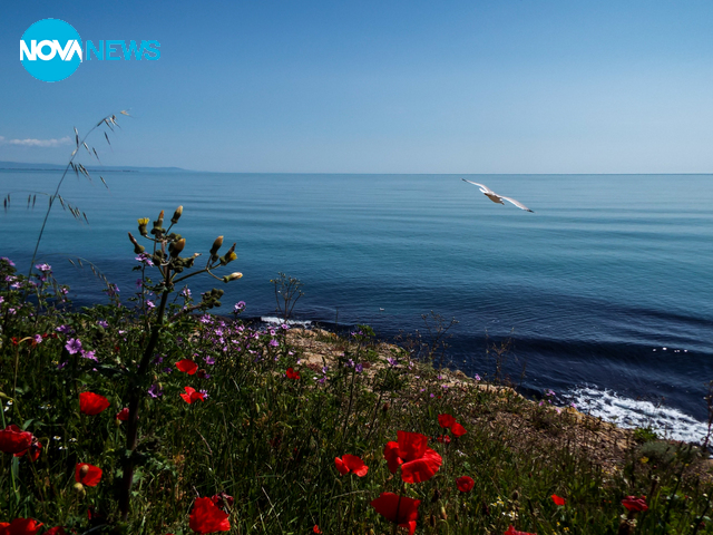 Загадъчната красота на остров Света Анастасия