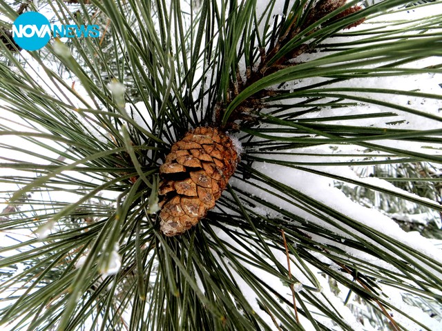 Красотата на месеца!