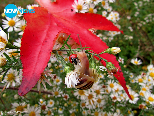 Сезонът на любовта