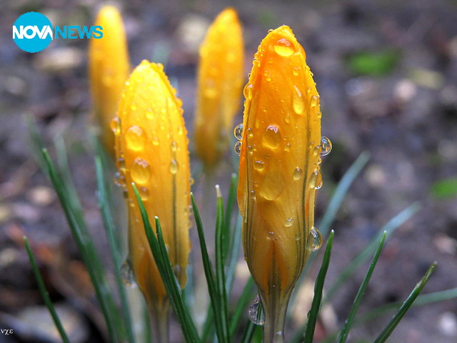 Дъждовен ден в Разградско