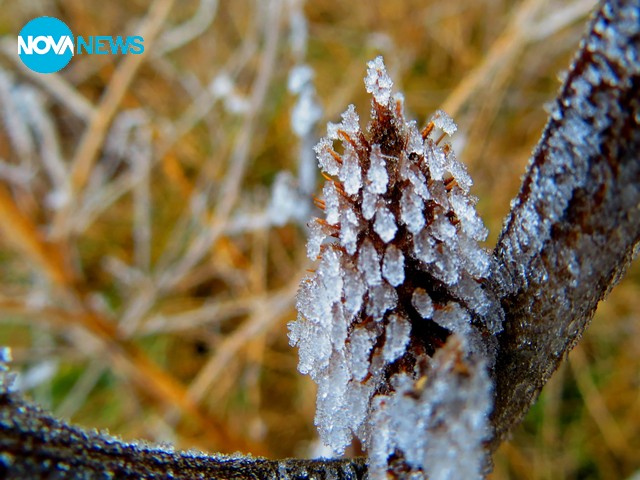 Скрежно студена утрин днес!