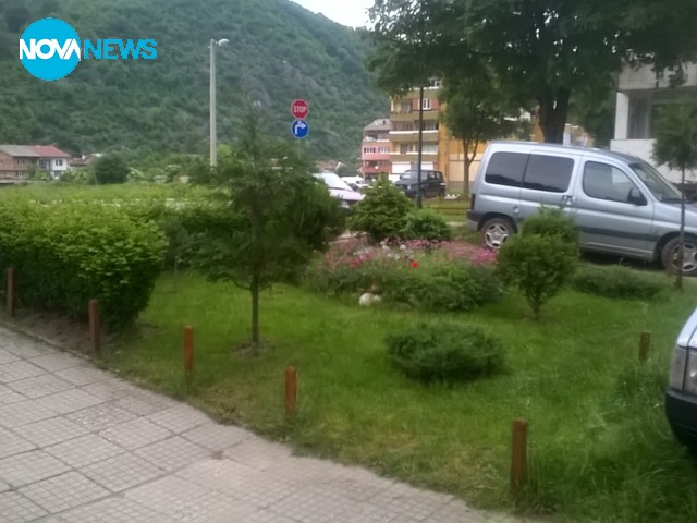 Градината пред блока в Етрополе
