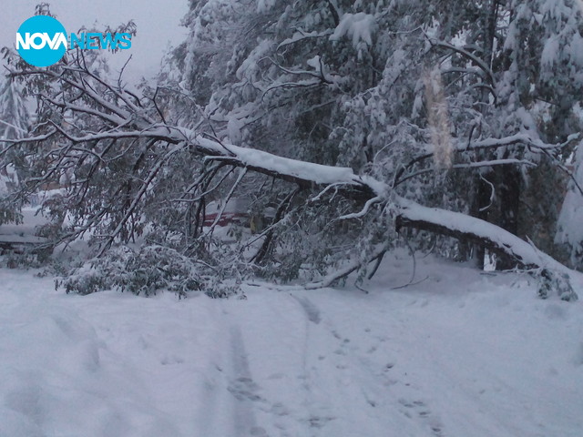 Бедствено положение в Габрово