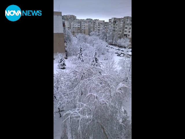 Снежна приказка