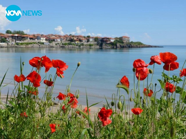 Прекрасен ден за разходки