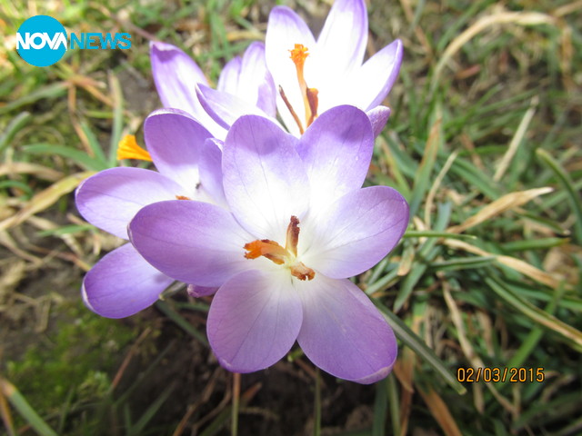 Пролетта идва