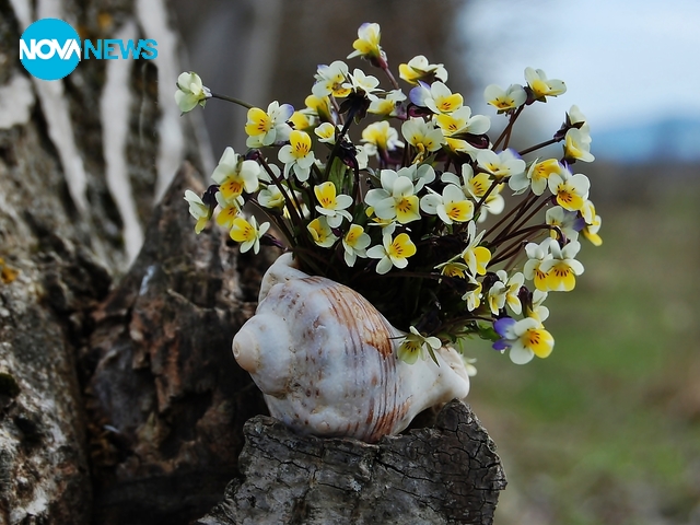 С ухание на пролет