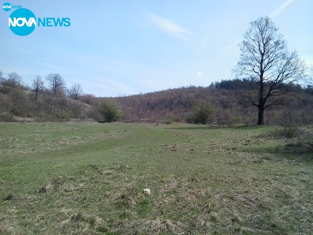 Пролетно в гората!