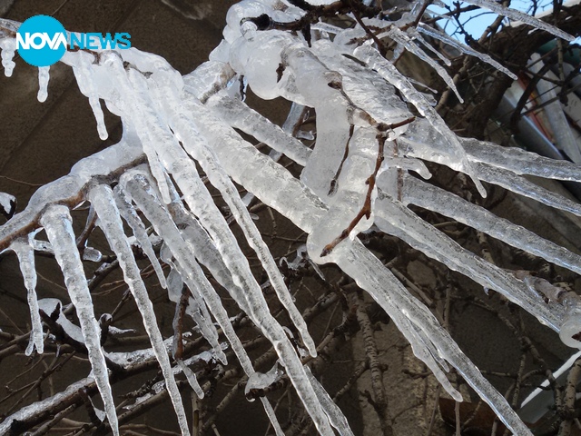 Ледени висулки