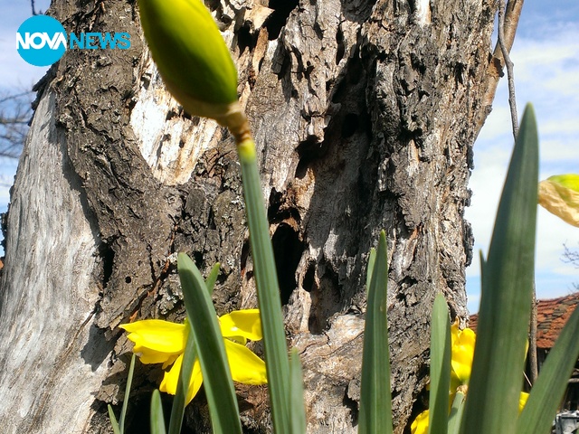 За прогнозата на времето