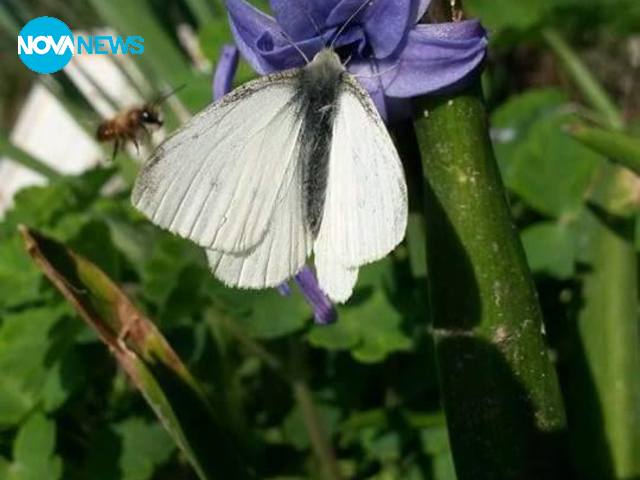 Пролетта е тук