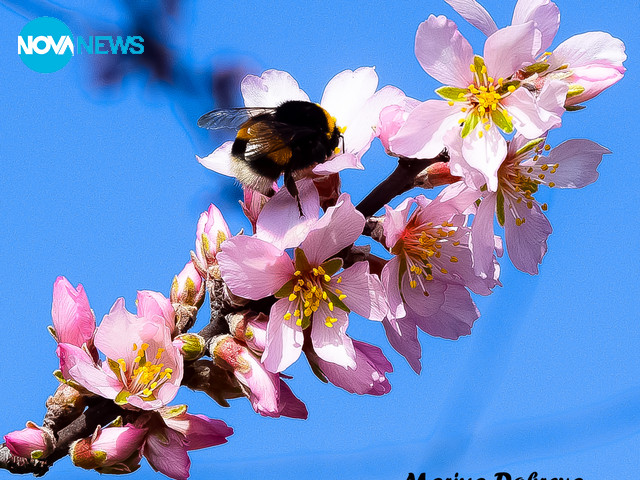 Пролет от района на Кърджали