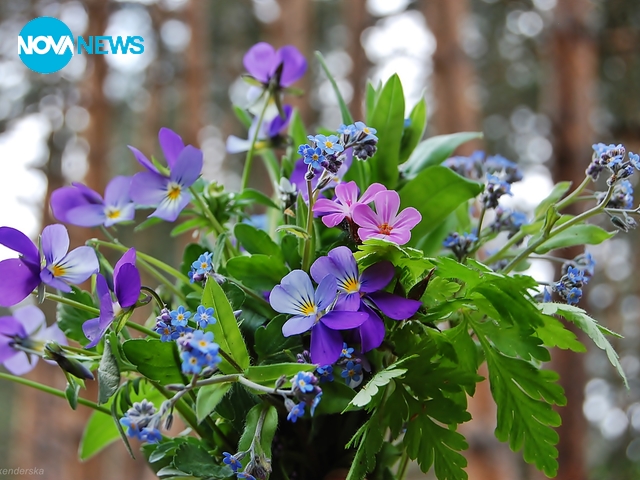 Пролетно настроение